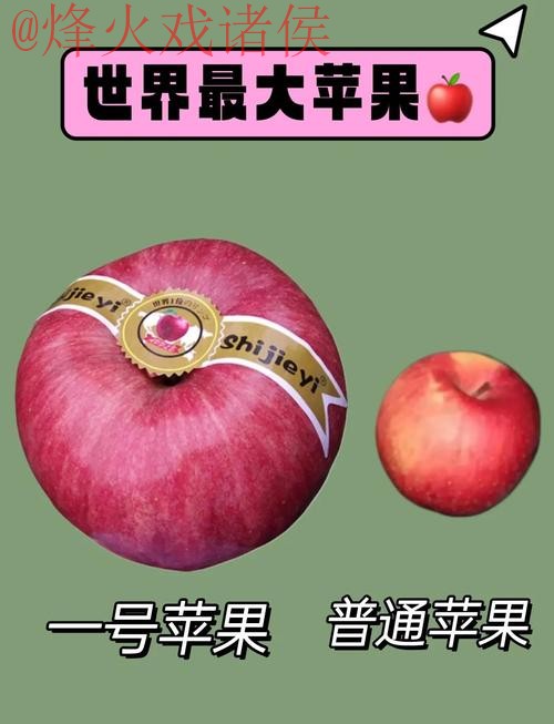 世界杯买球苹果最佳 世界杯买球苹果最佳